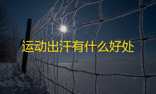 辅助低价发卡网运动出汗有什么好处
